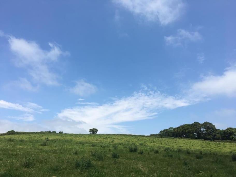 Park Gate, Colyton, Farm,Near Beaches-'Annie' المظهر الخارجي الصورة