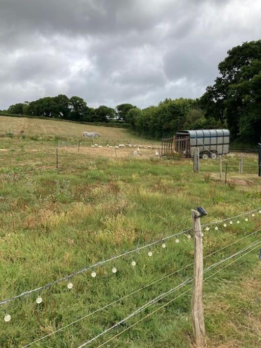 Park Gate, Colyton, Farm,Near Beaches-'Annie' المظهر الخارجي الصورة