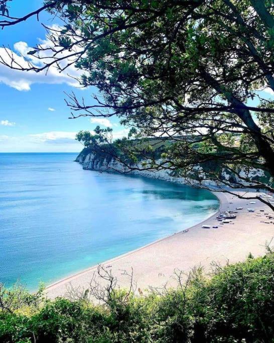 Park Gate, Colyton, Farm,Near Beaches-'Annie' المظهر الخارجي الصورة