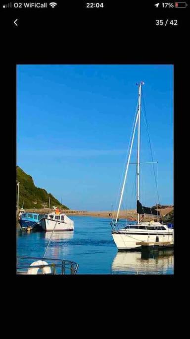 Park Gate, Colyton, Farm,Near Beaches-'Annie' المظهر الخارجي الصورة